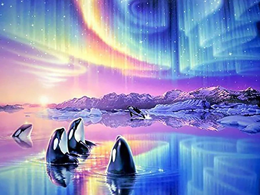 Evershine 5D DIY Diamond Painting | Aurora Full Square Diamond Landscape Kit | Home Decor Crafts